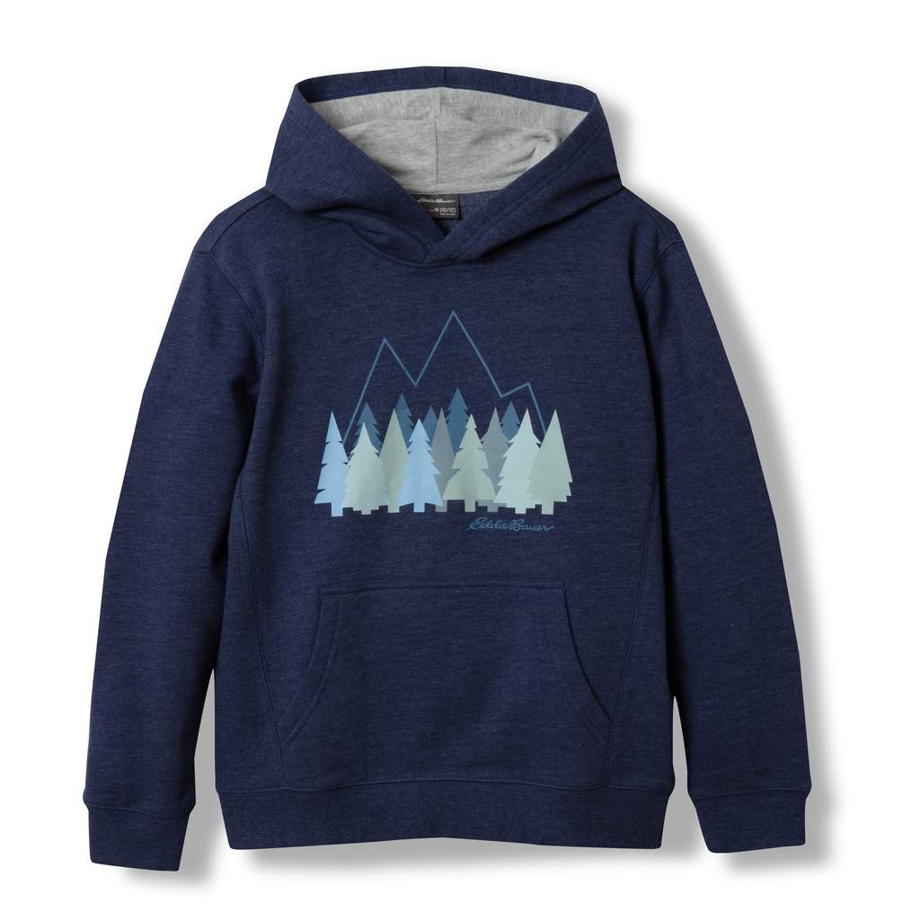 Boys Graphic Camp Fleece Hoodie Original Garansi Resmi